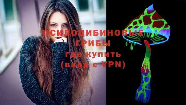 ГАЛЛЮЦИНОГЕННЫЕ ГРИБЫ Снежинск
