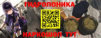 индика Апшеронск