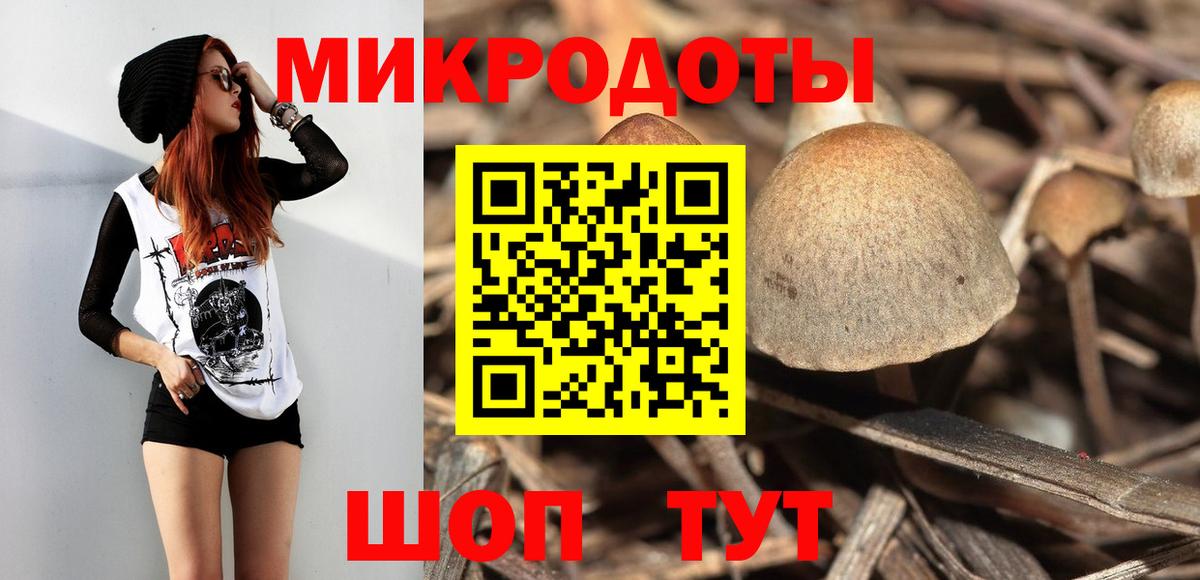 Псилоцибиновые грибы Psilocybine cubensis Нурлат