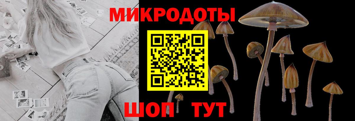 Галлюциногенные грибы Cubensis Нурлат