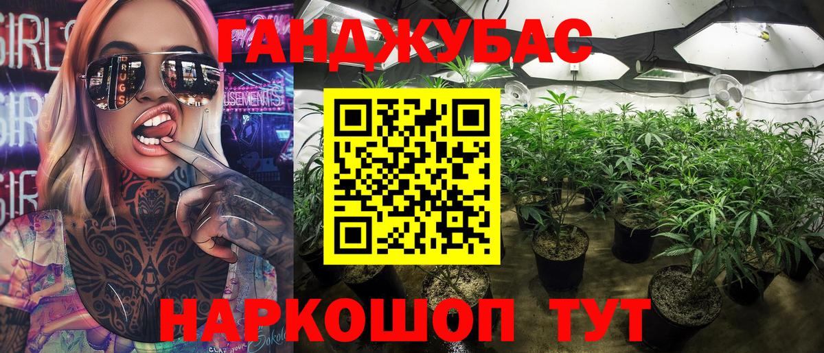 Бошки Шишки планчик  Каннабис сатива  Нурлат  Вход с VPN  Бошки Шишки планчик  Марихуана SATIVA & INDICA 