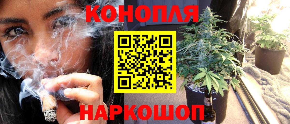 Бошки Шишки план  Марихуана THC 21%  Нурлат  Канабис семена  Бошки марихуана AK-47 